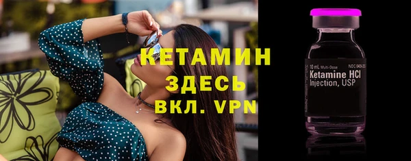 гидра Аркадак