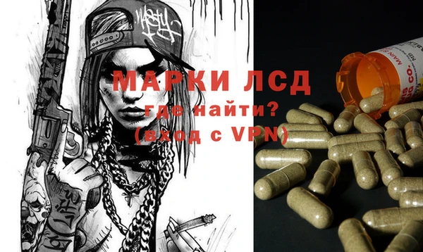 крисы Армянск