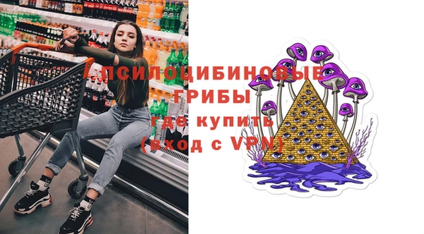 крисы Армянск