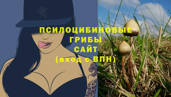 гидра Аркадак