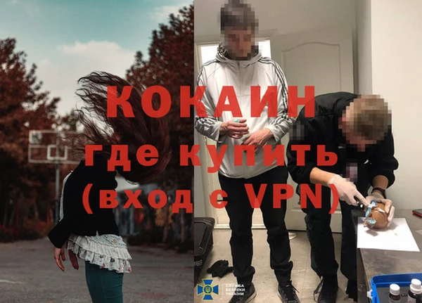 гидра Аркадак